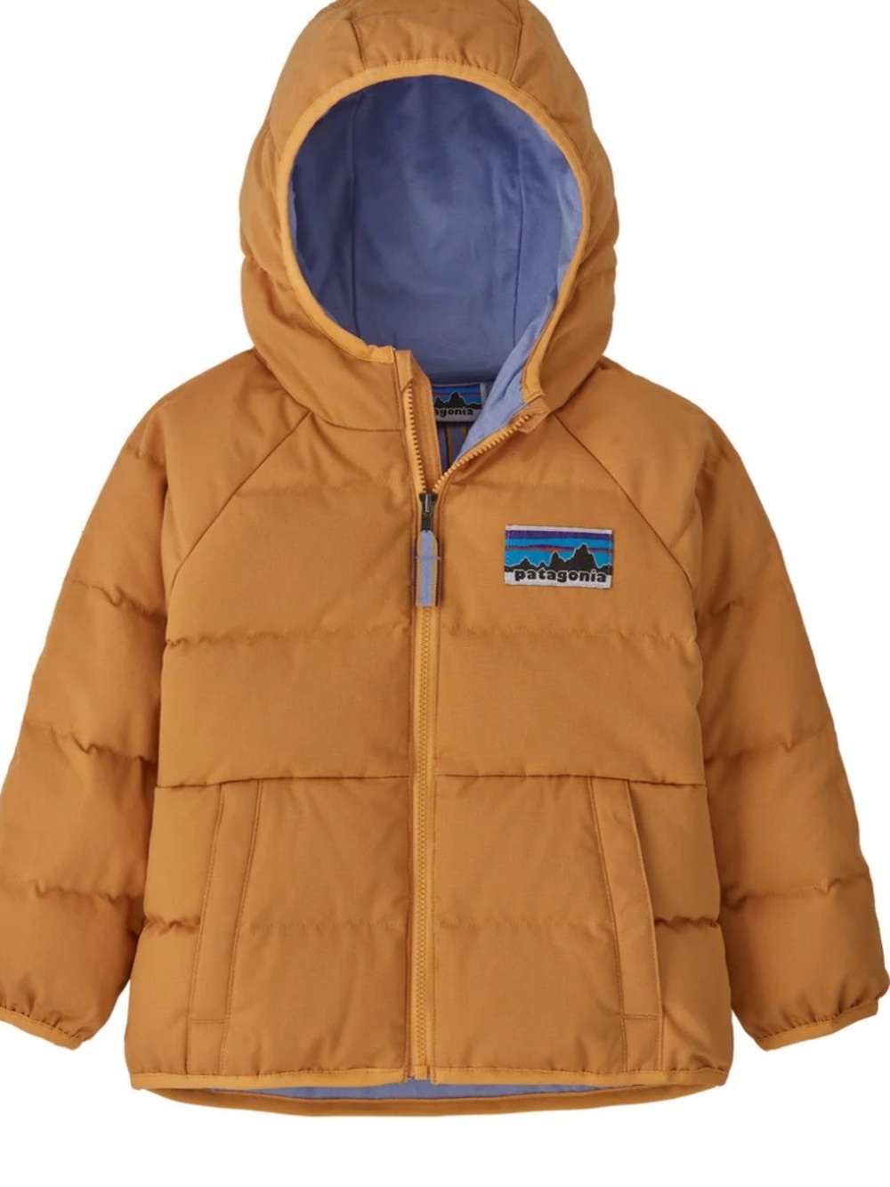 Patagonia Toddler Hooded Down Puffer Jacket 2T